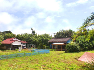 141